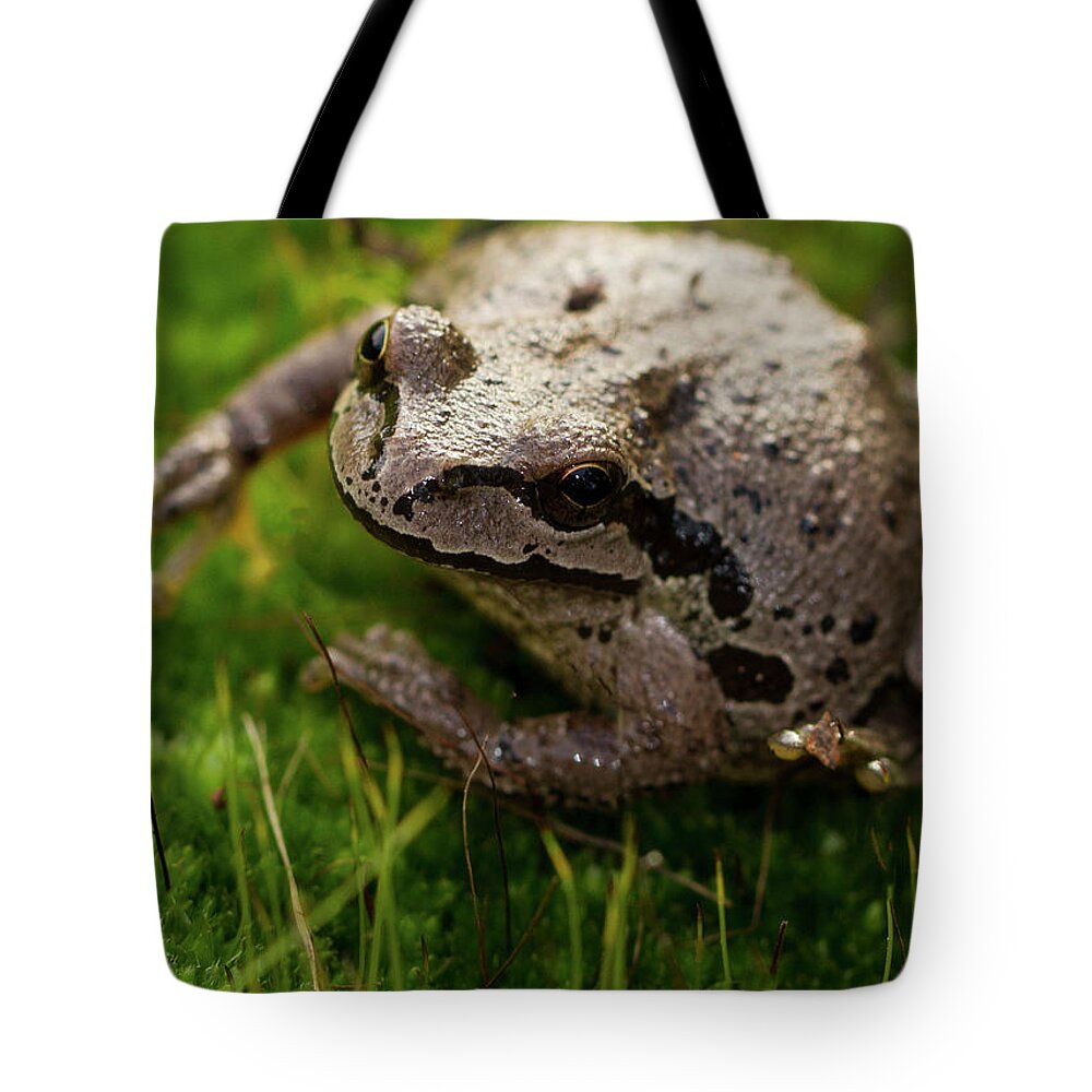 Jean Noren Tote Bag featuring the photograph Frog on the Grass by Jean Noren
