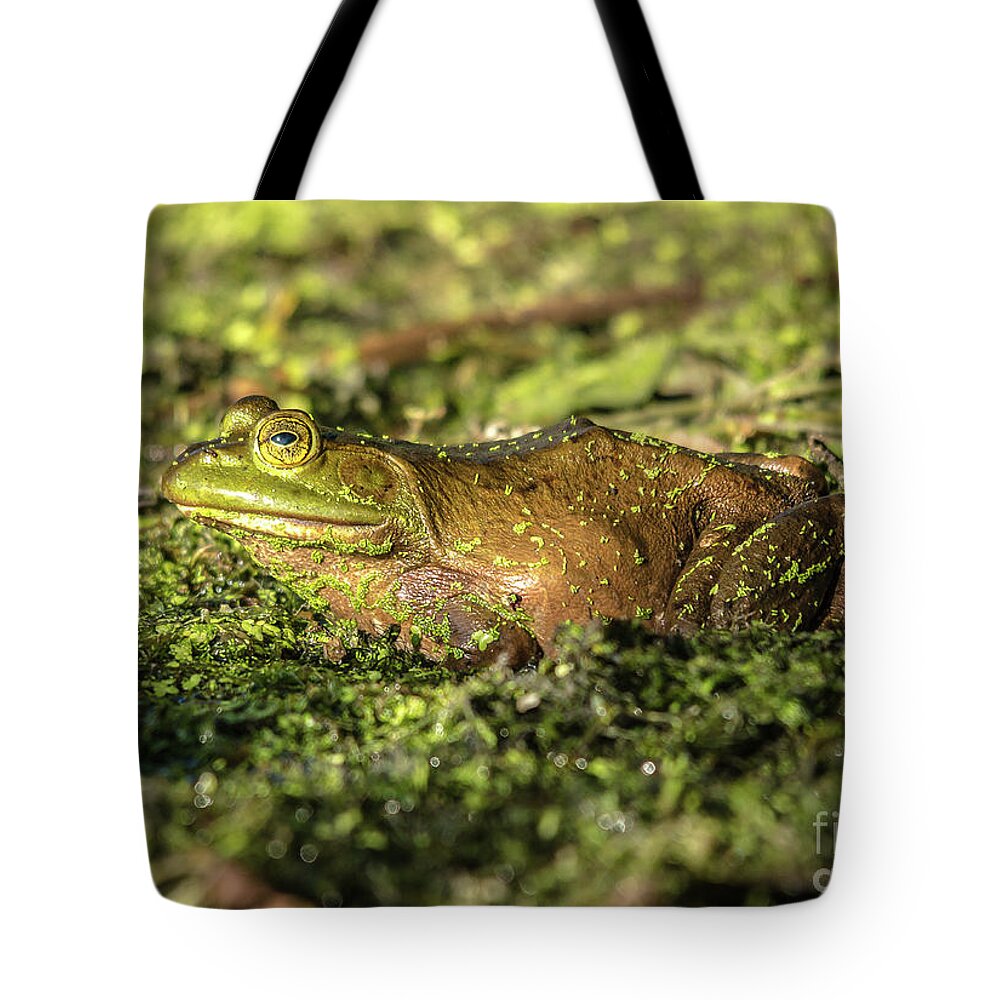 Cheryl Baxter Photography Tote Bag featuring the photograph Frog Profile by Cheryl Baxter