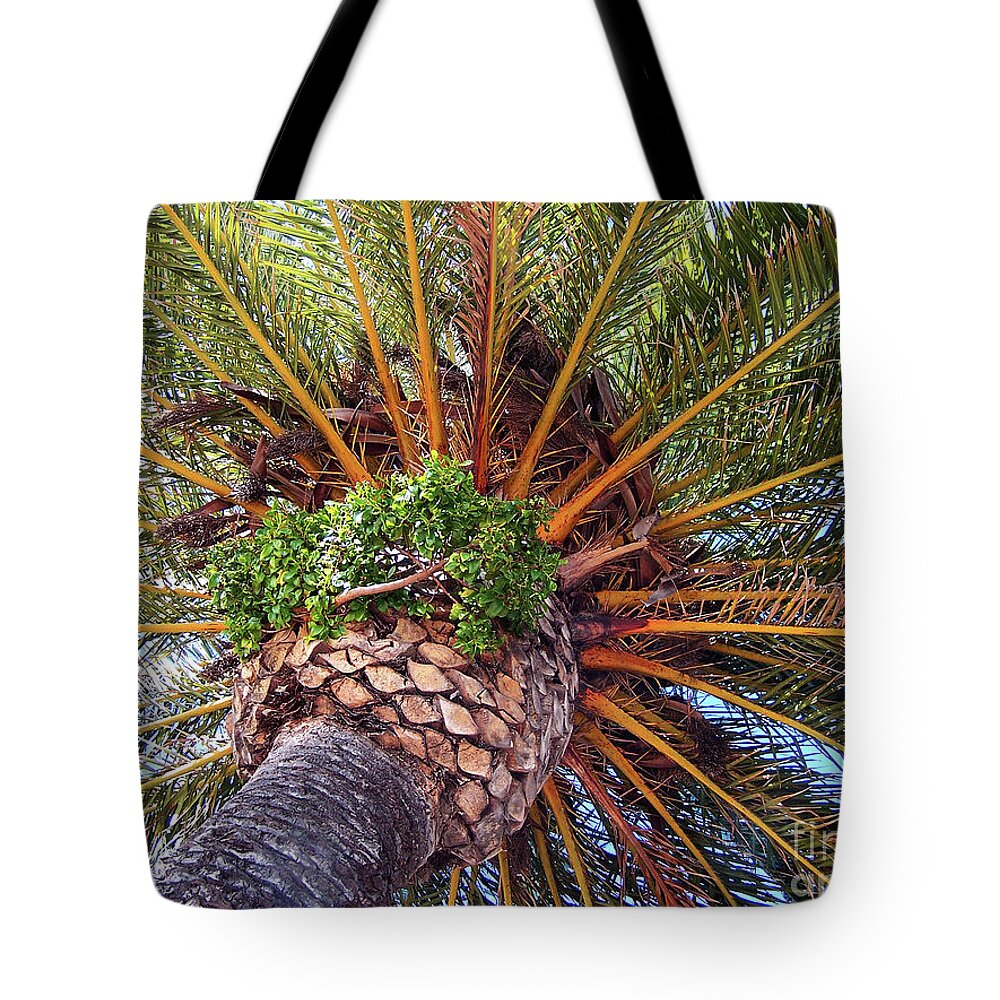 From Down Under Tote Bag featuring the photograph From Down Under by Jennifer Robin