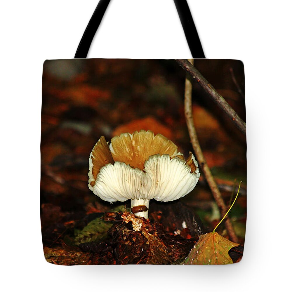 Fungus Tote Bag featuring the photograph From The Dark by Debbie Oppermann