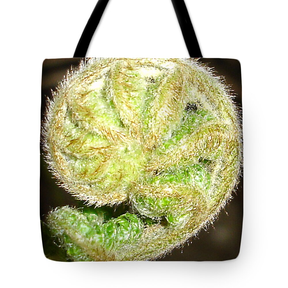 Flora Tote Bag featuring the photograph Frond by Susan Baker
