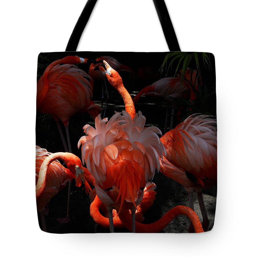 America Tote Bag featuring the photograph Front and Center by Maggy Marsh