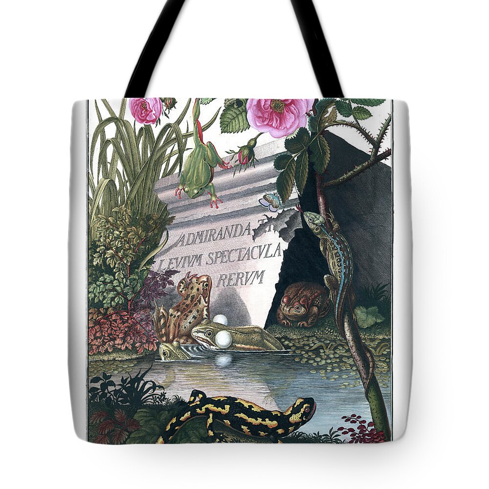 Frogs Tote Bag featuring the drawing Frontis of Historia Naturalis Ranarum Nostratium by ArtistAugust Johann Roesel von Rosenhof