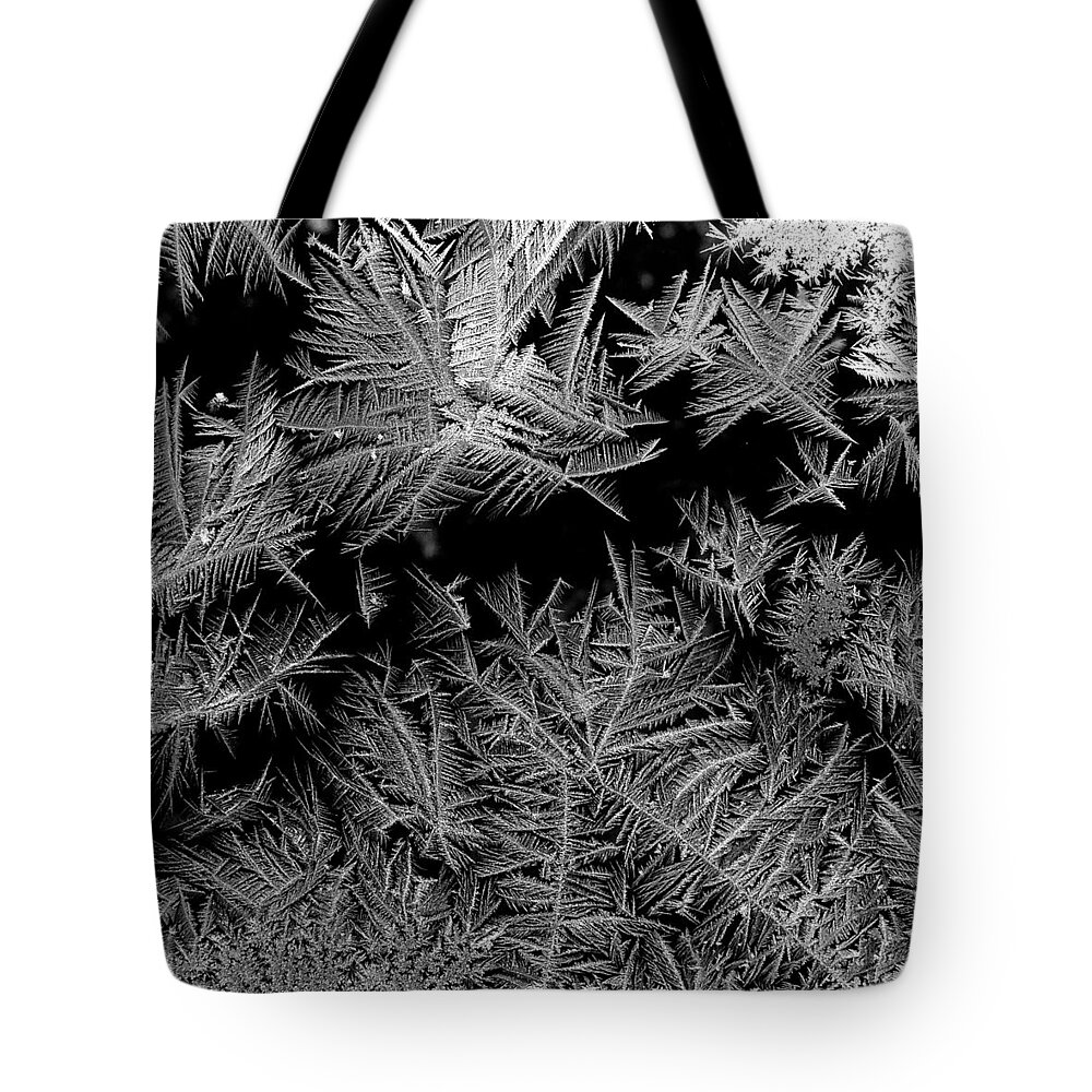 Winter Tote Bag featuring the photograph Frost Fireworks by Polly Castor
