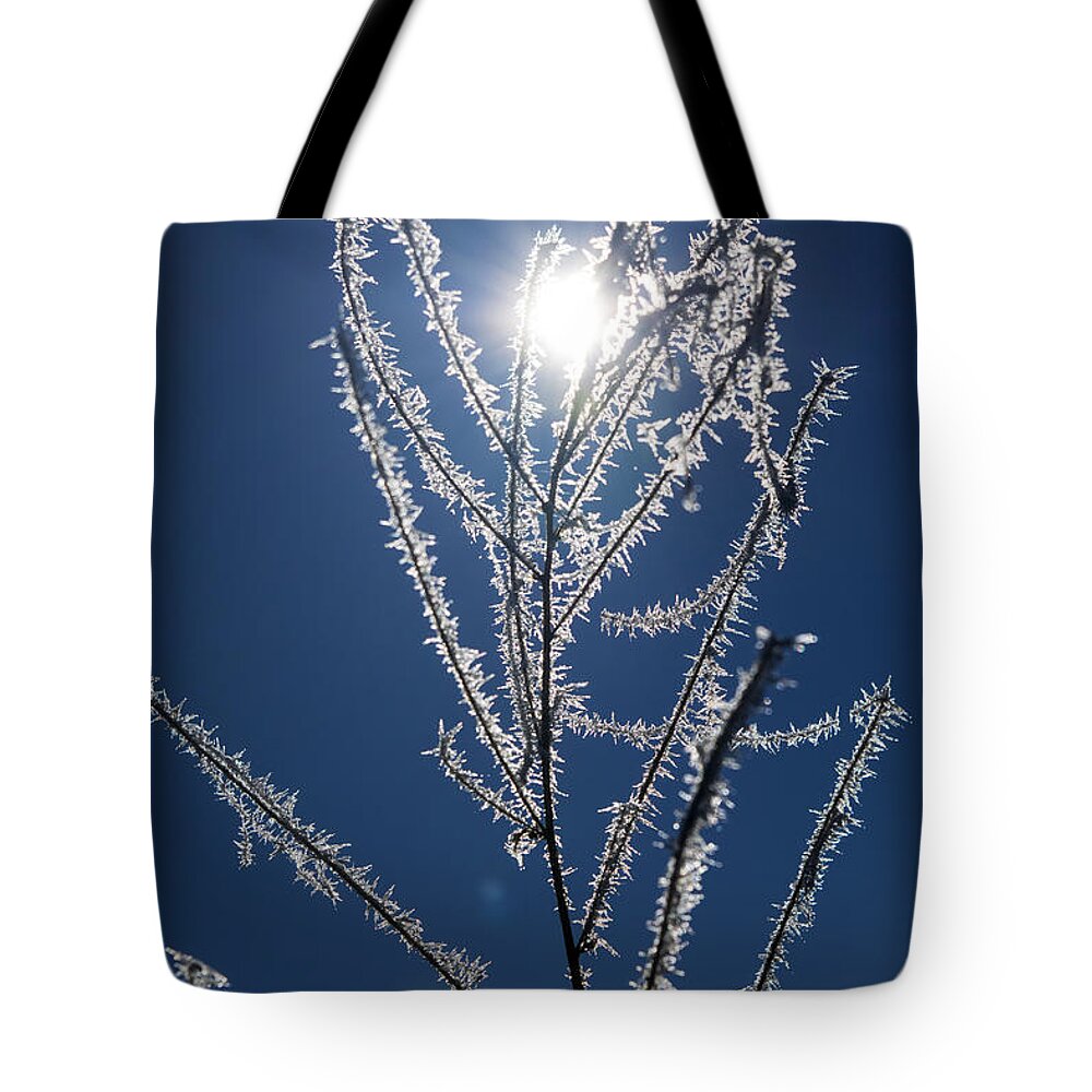 Frost Ice Crystals Tote Bag featuring the photograph Frost Ice Crystals by Frank Wilson