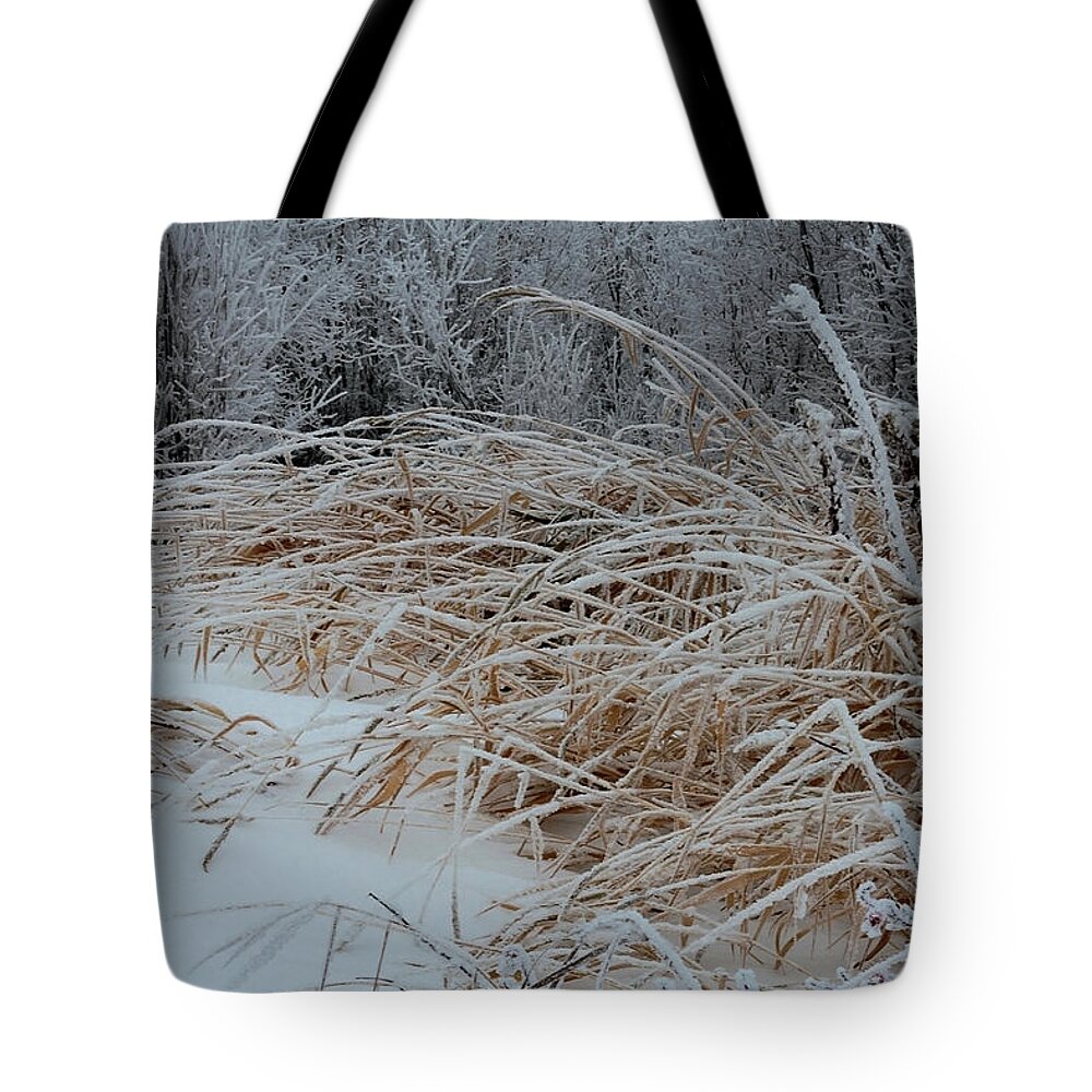 Frost Laden Grasses Tote Bag featuring the photograph Frost Laden Grasses by Sandra Foster