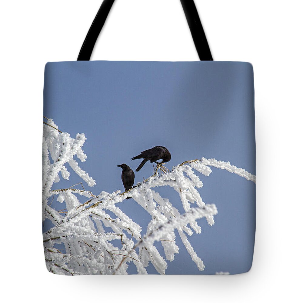 Frost Tote Bag featuring the photograph Frosted and Crowed by Alana Thrower