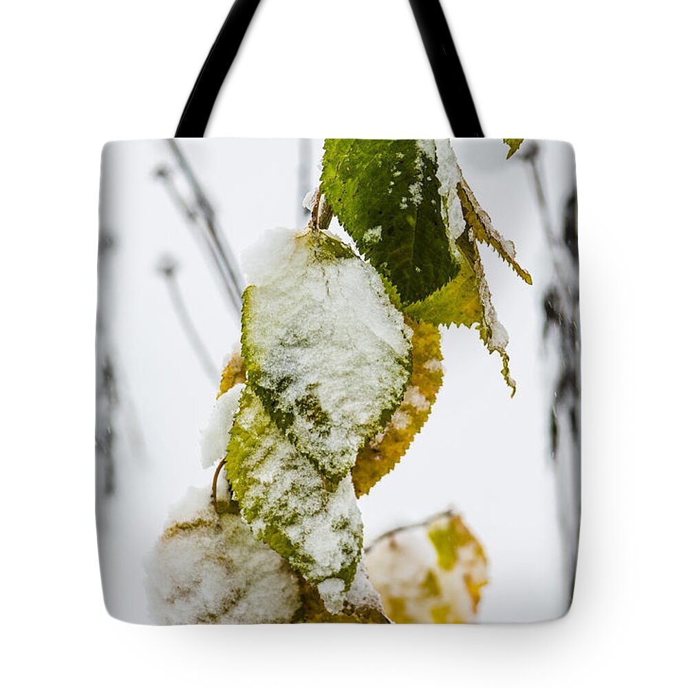 Snow Tote Bag featuring the photograph Frosted Green and Yellow by Deborah Smolinske