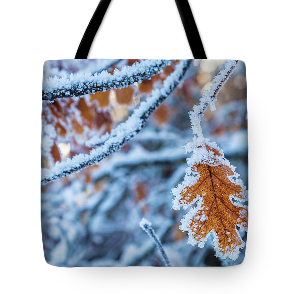 Landscape Tote Bag featuring the photograph Frosted Leaf by Jonathan Nguyen