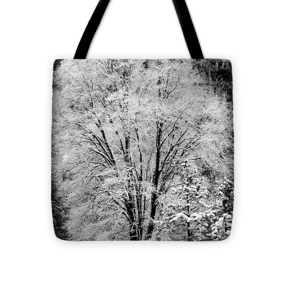 Tree Tote Bag featuring the photograph Frosted Tree Yosemite Valley by Lawrence Knutsson