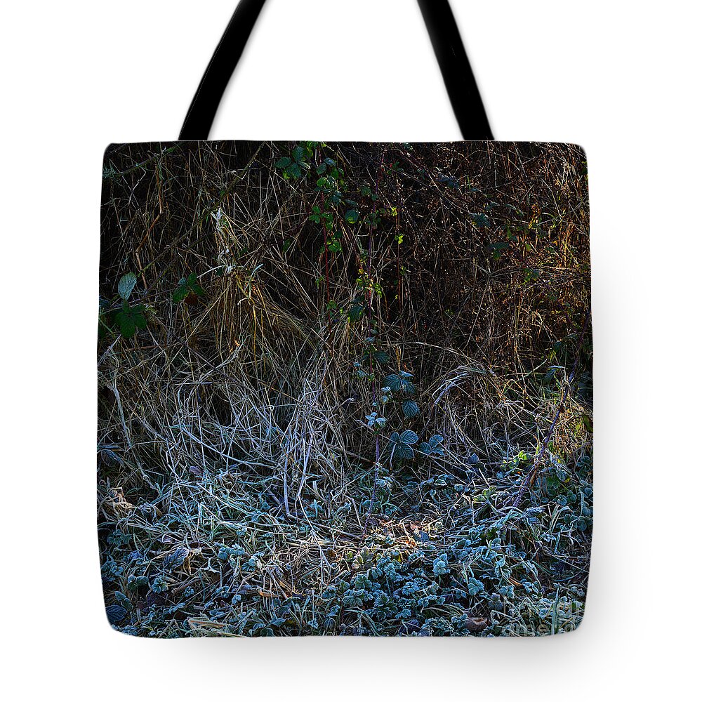 Dawn Frostings Tote Bag featuring the photograph Frostings 2 by Paul Davenport