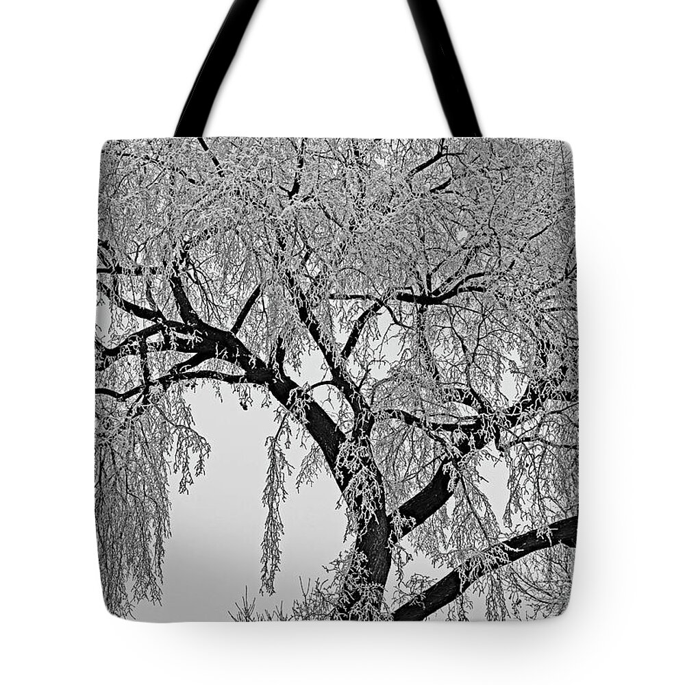  Tote Bag featuring the digital art Frosty Friday by Darcy Dietrich