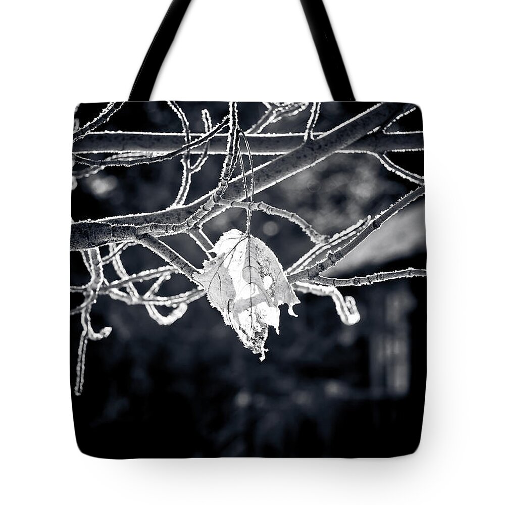 Winter Tote Bag featuring the photograph Frosty Morn by Maggie Terlecki