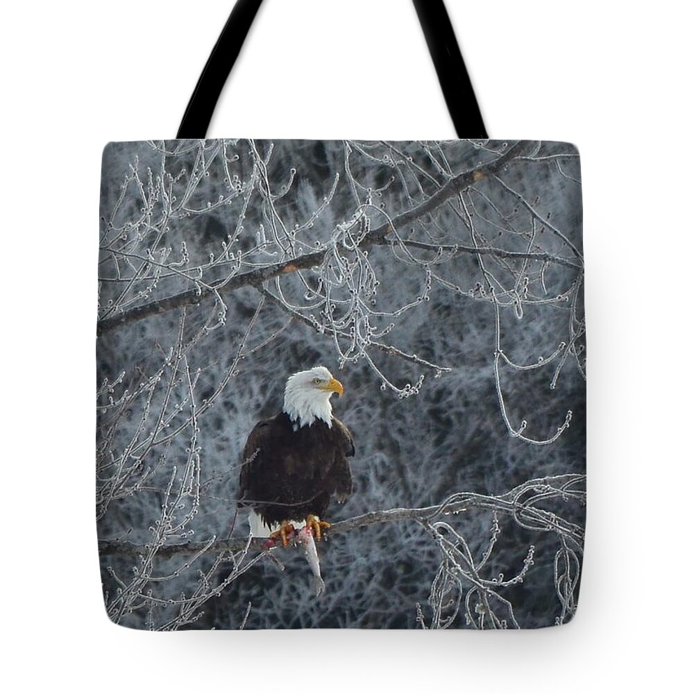 Bird Tote Bag featuring the photograph Frosty Morning Eagle by Harry Moulton