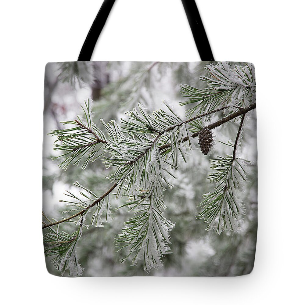Frost Tote Bag featuring the photograph Frosty Pinecone by Mike Eingle