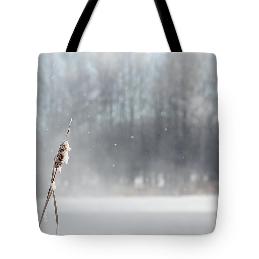 Cheryl Baxter Photography Tote Bag featuring the photograph Frozen Cattail Winter Scene by Cheryl Baxter