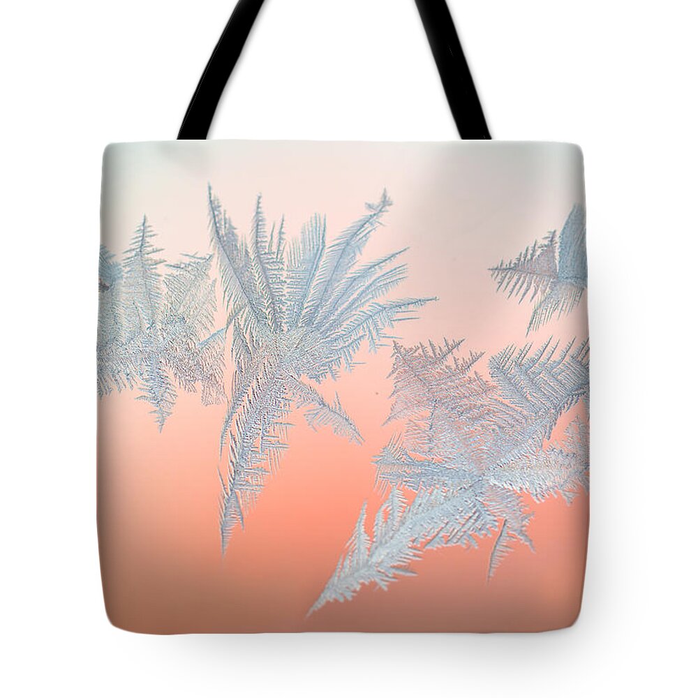 Abstract Tote Bag featuring the photograph Frozen Fractals 01 by Jakub Sisak