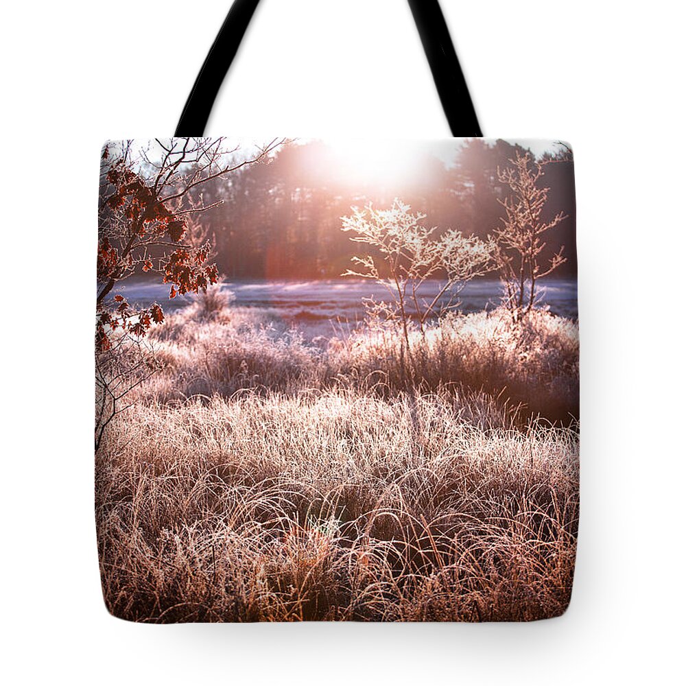 Maine Tote Bag featuring the photograph Frozen Marsh in Kennebunk Maine by Eric Gendron
