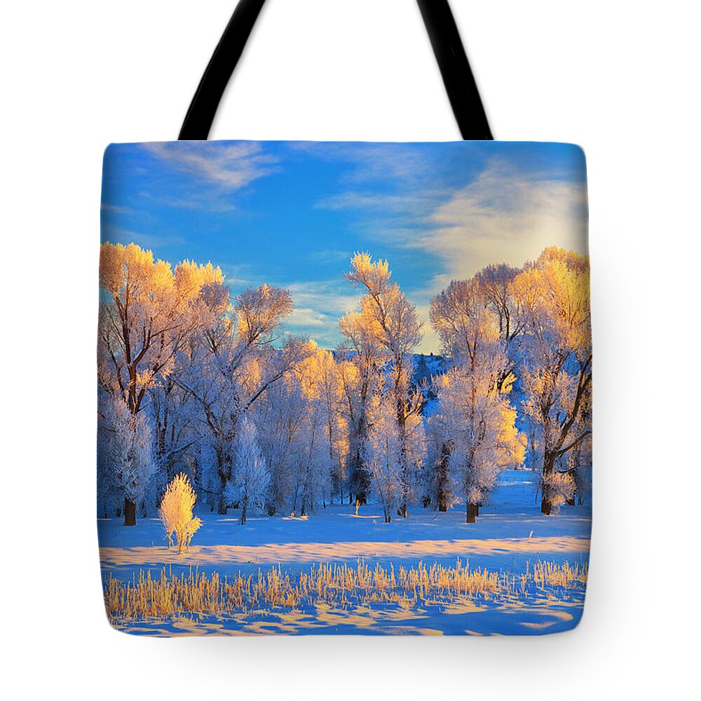 Sunrise Tote Bag featuring the photograph Frozen Sunrise by Greg Norrell