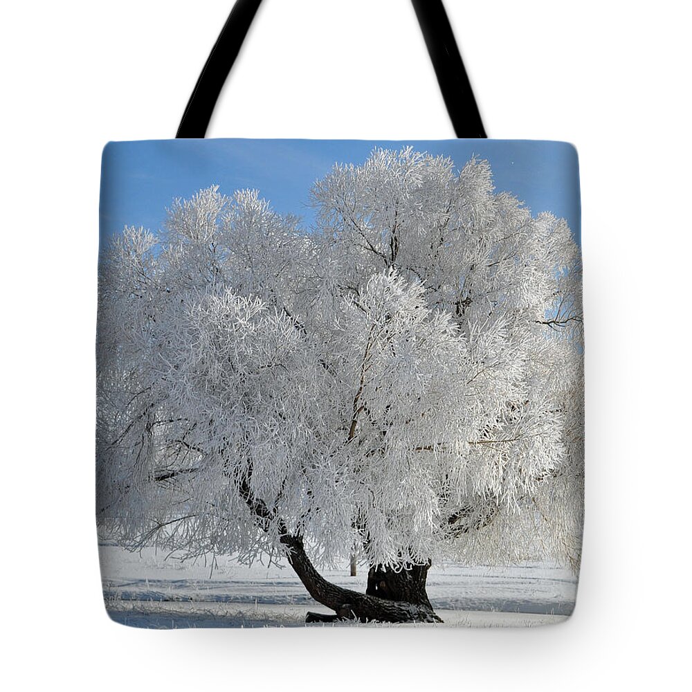 Montana Tote Bag featuring the photograph Frozen Tree by Bruce Gourley