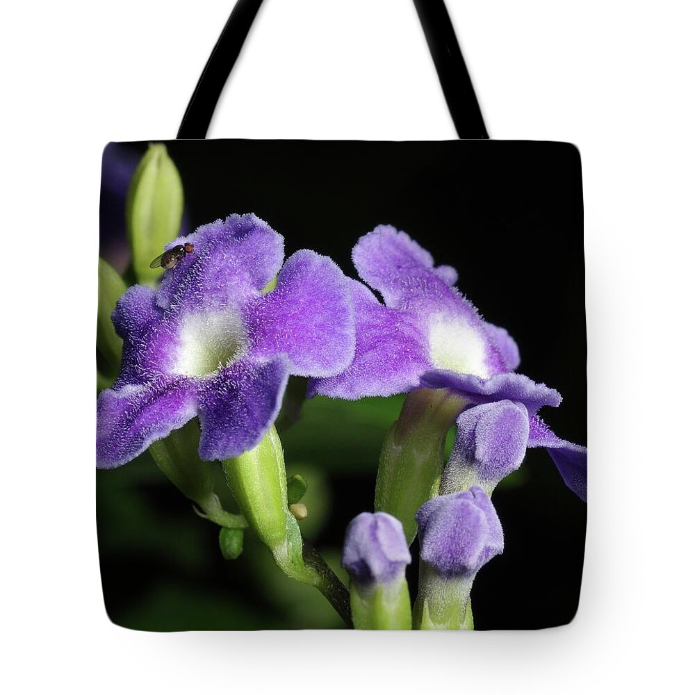 Nature Tote Bag featuring the photograph Fruit Fly on Golden Dewdrop by Richard Rizzo