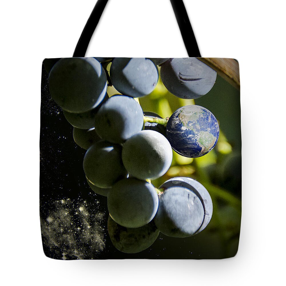 2d Tote Bag featuring the photograph Fruit Of The Vine by Brian Wallace