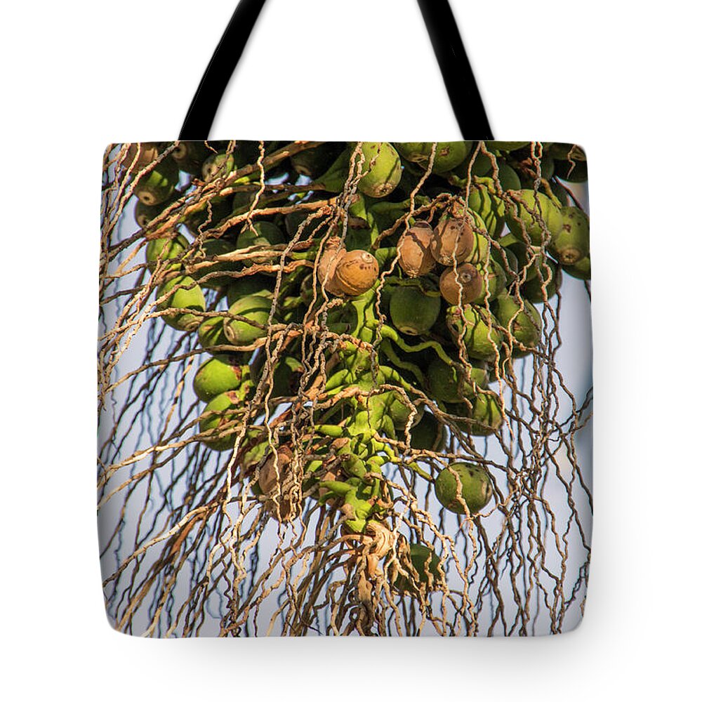 Agriculture Tote Bag featuring the photograph Fruits of a Date Tree by Adriana Zoon