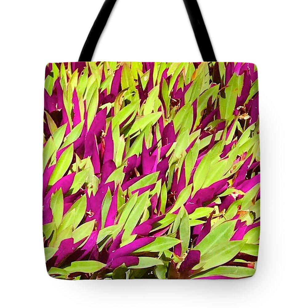 #flowersofaloha #fuchsia #green #groundcover Tote Bag featuring the photograph Fuchsia and Green -- Aloha Ground Cover by Joalene Young