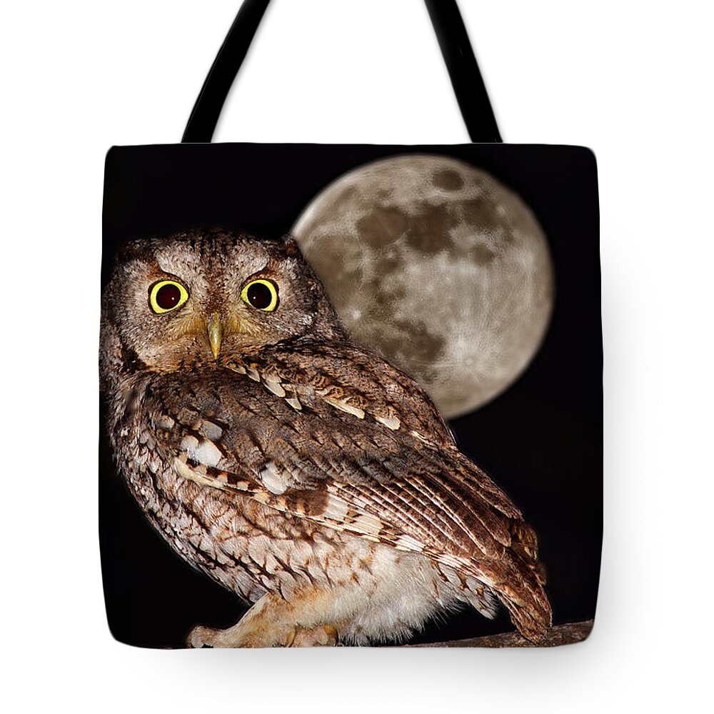Asio Tote Bag featuring the photograph Full moon by Mircea Costina Photography