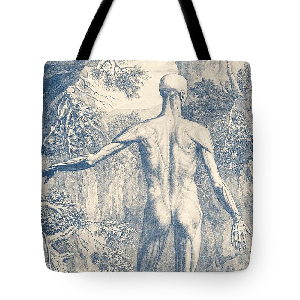 Muscle Utilization Tote Bag featuring the drawing Full Muscular System - Vintage Anatomy Print by War Is Hell Store