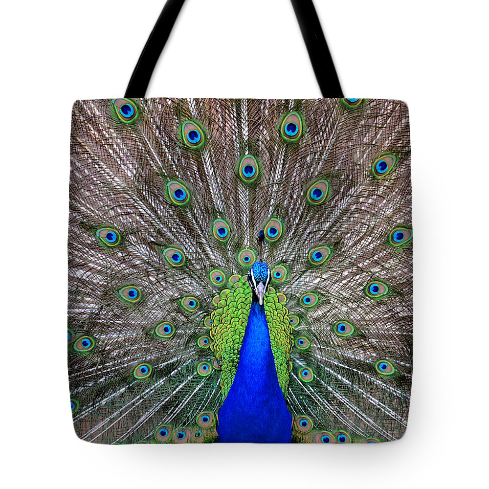 Bird Tote Bag featuring the photograph Full Spread by Angelina Tamez