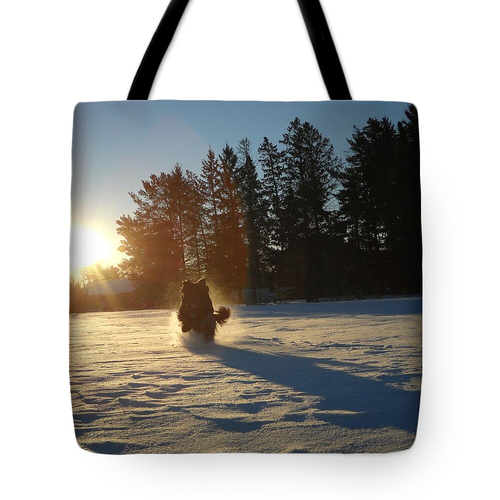 Snow Tote Bag featuring the photograph Fun to Run in Snow at Sunrise by Kent Lorentzen