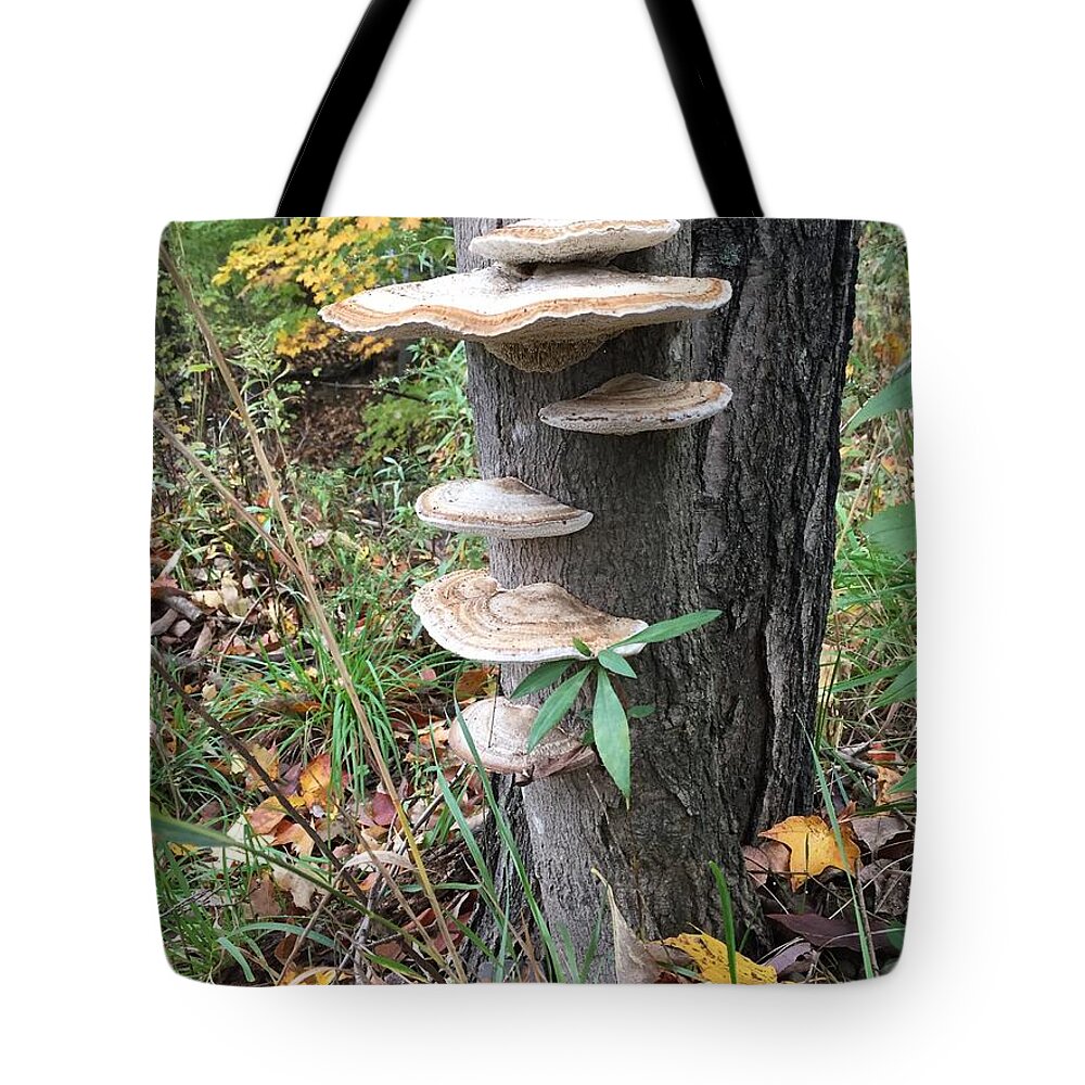 Nature Tote Bag featuring the photograph Fungi by Christine Lathrop