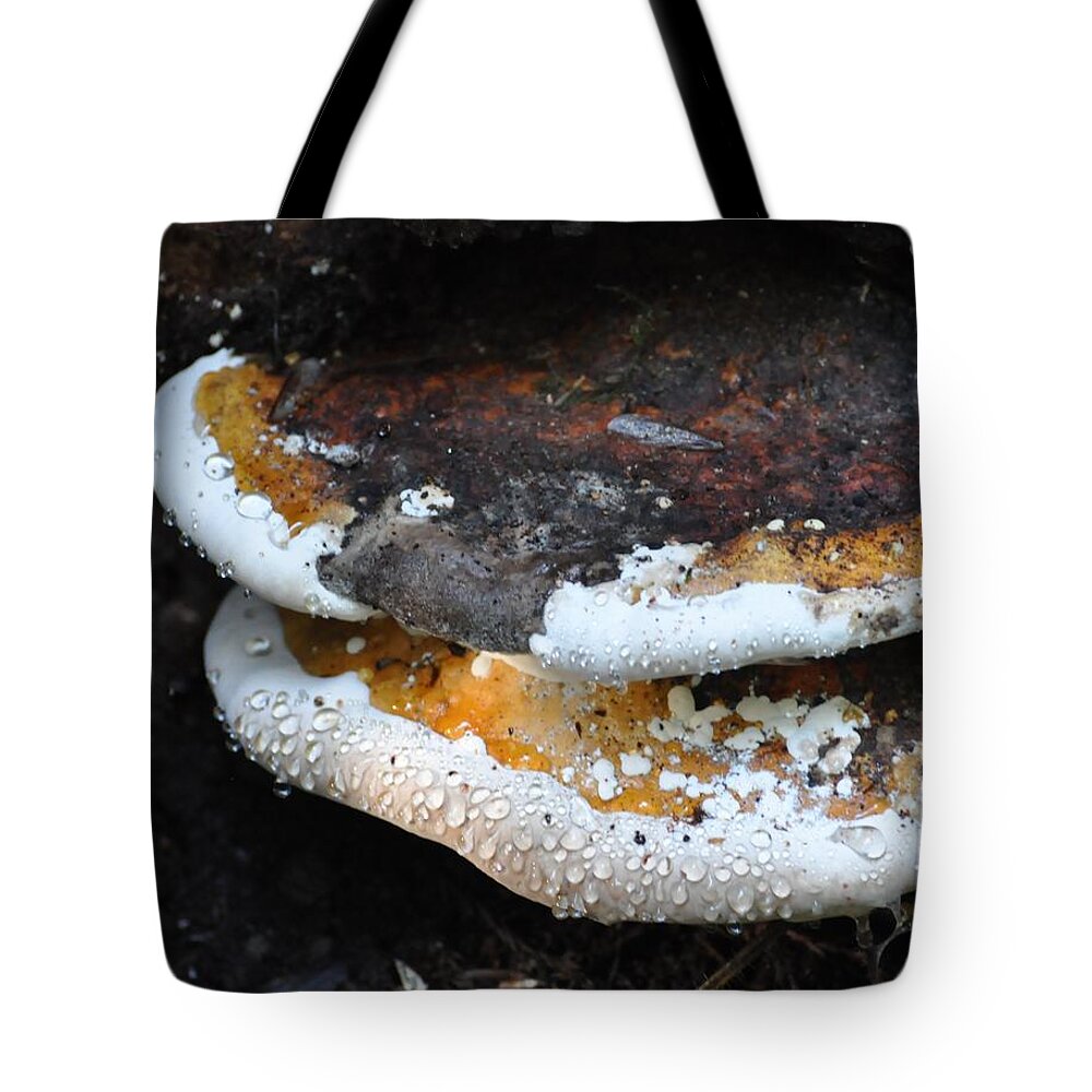 Forest Tote Bag featuring the photograph Fungi in Dew by Deb Lanford
