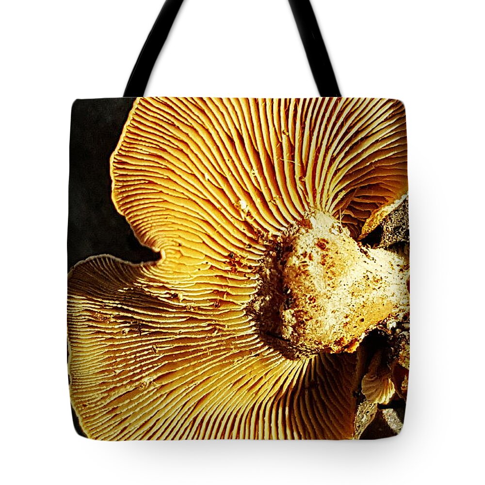 Plant Tote Bag featuring the photograph Fungus by Bruce Carpenter