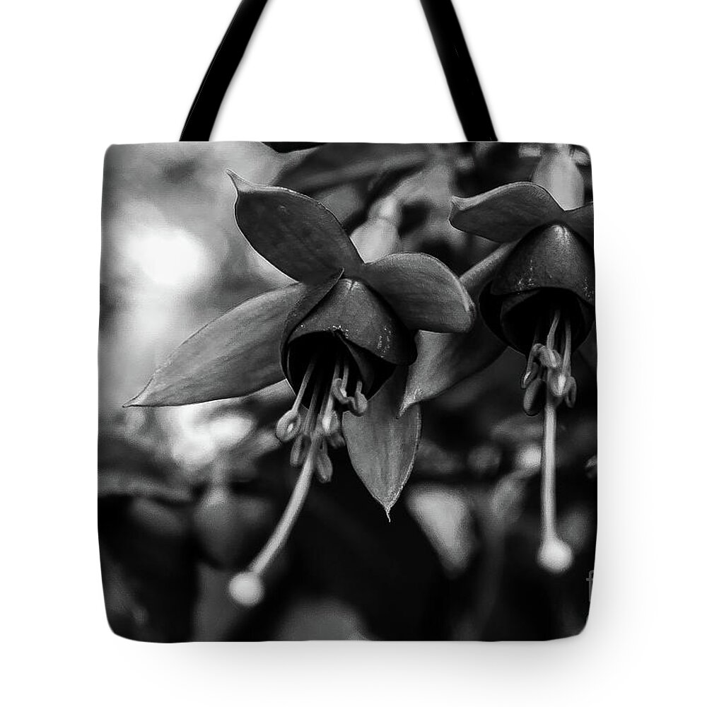 Flower Tote Bag featuring the photograph Fuchsia, Black and White by Adam Morsa
