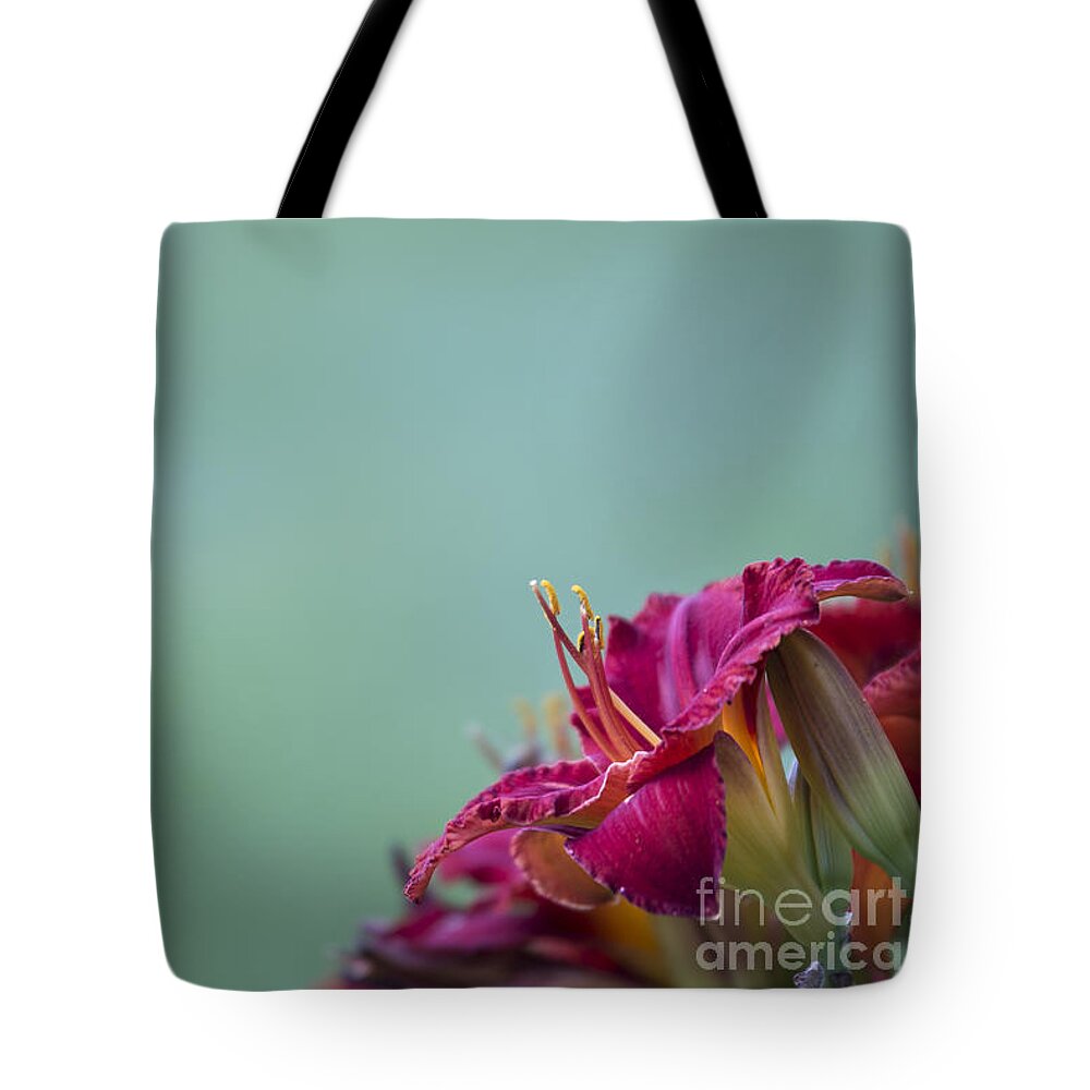 Fuchsia Tote Bag featuring the photograph Fuchsia in Bloom by Andrea Silies