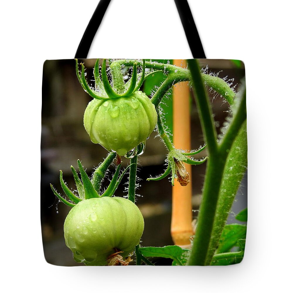 Plant Tote Bag featuring the photograph Future Lunch by Betty-Anne McDonald