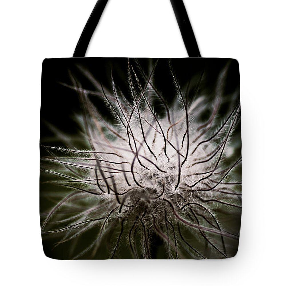 Botanical Tote Bag featuring the photograph Fuzzy Flower Seedhead by Venetta Archer