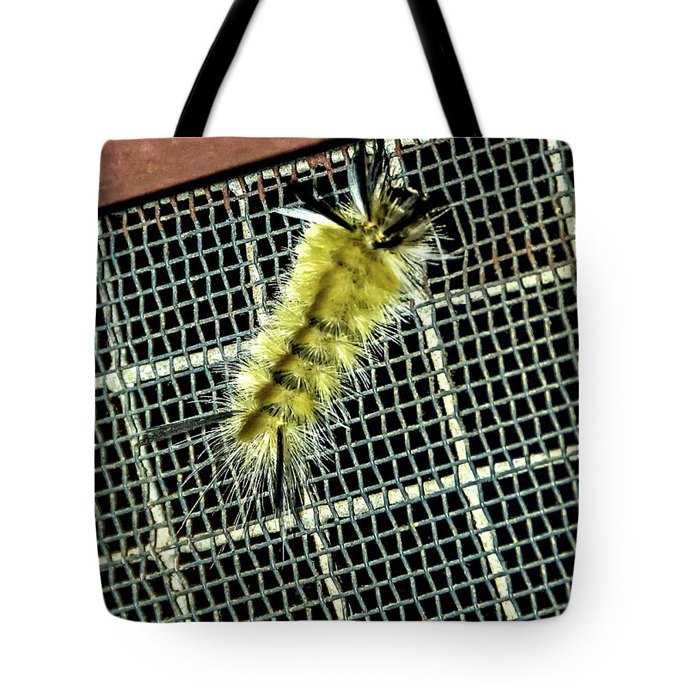 Macro Tote Bag featuring the photograph Fuzzy Wuzzy Goes Off The Grid by Steve Harrington