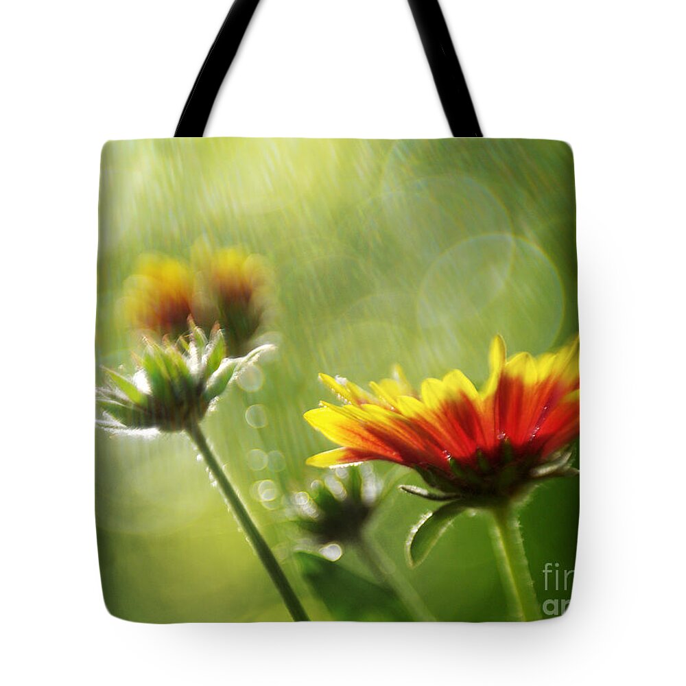 Flowers Tote Bag featuring the photograph Gaillardia After The Rain by Dorothy Lee