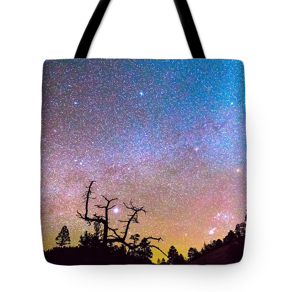 Sky Tote Bag featuring the photograph Galaxy Night by James BO Insogna