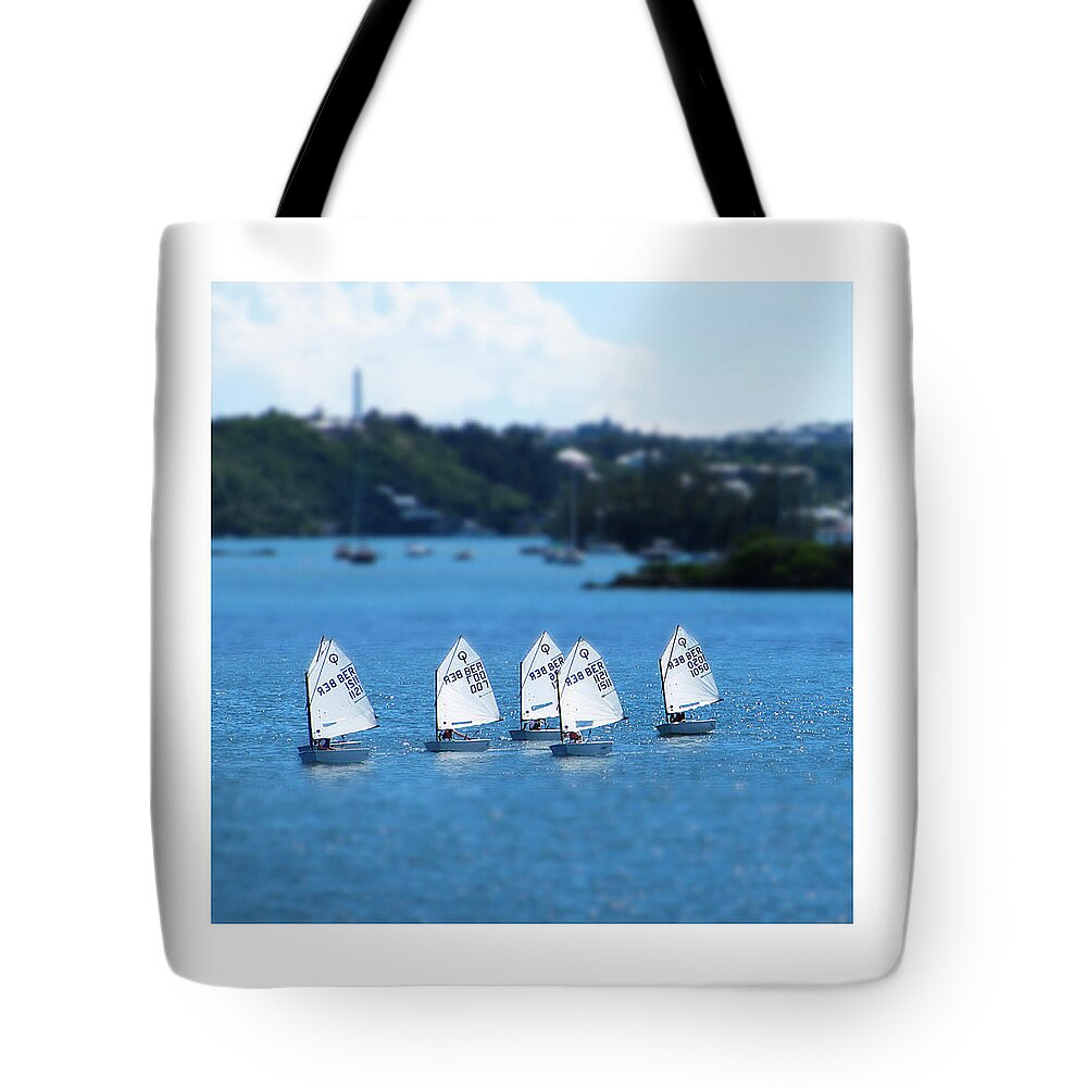 Richard Reeve Tote Bag featuring the photograph Gallery Image - Small World by Richard Reeve