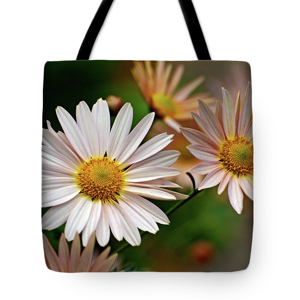 Flowers Tote Bag featuring the photograph Garden Cheer by Rebecca Higgins