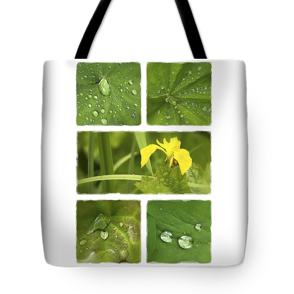 Garden Tote Bag featuring the photograph Garden Jewels II by Hazy Apple