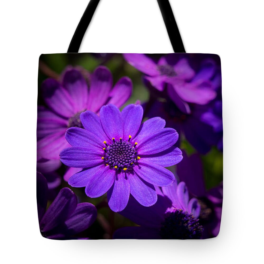 Flower Tote Bag featuring the photograph Garden Light by Derek Dean