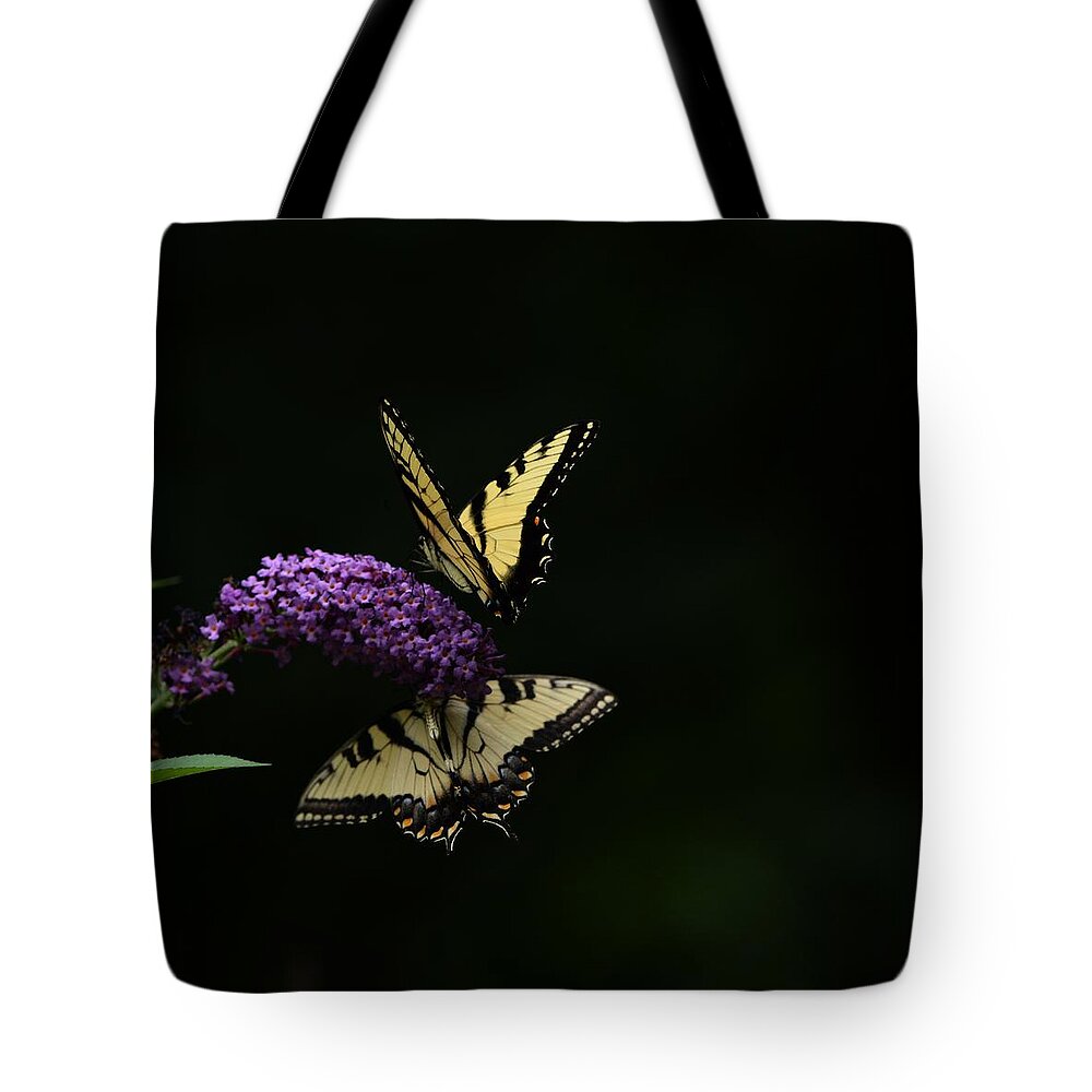 Butterfly Tote Bag featuring the photograph Garden of Eden by Carolyn Mickulas
