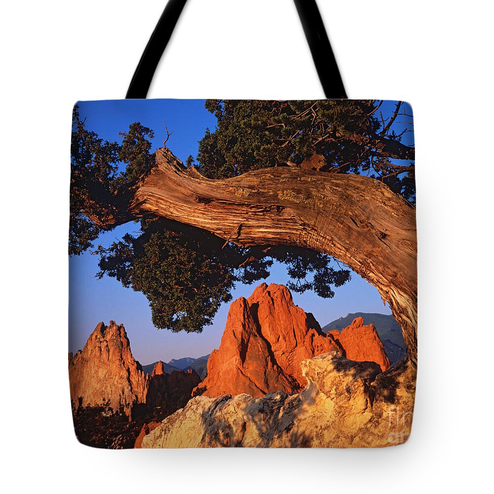 Landscape Tote Bag featuring the photograph Garden Of The Gods, Colorado by Dennis Flaherty