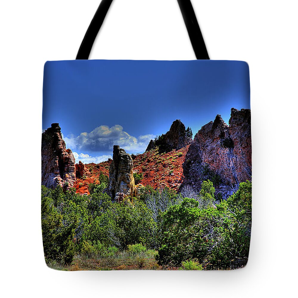 Landscape Tote Bag featuring the photograph Garden of the Gods by David Patterson