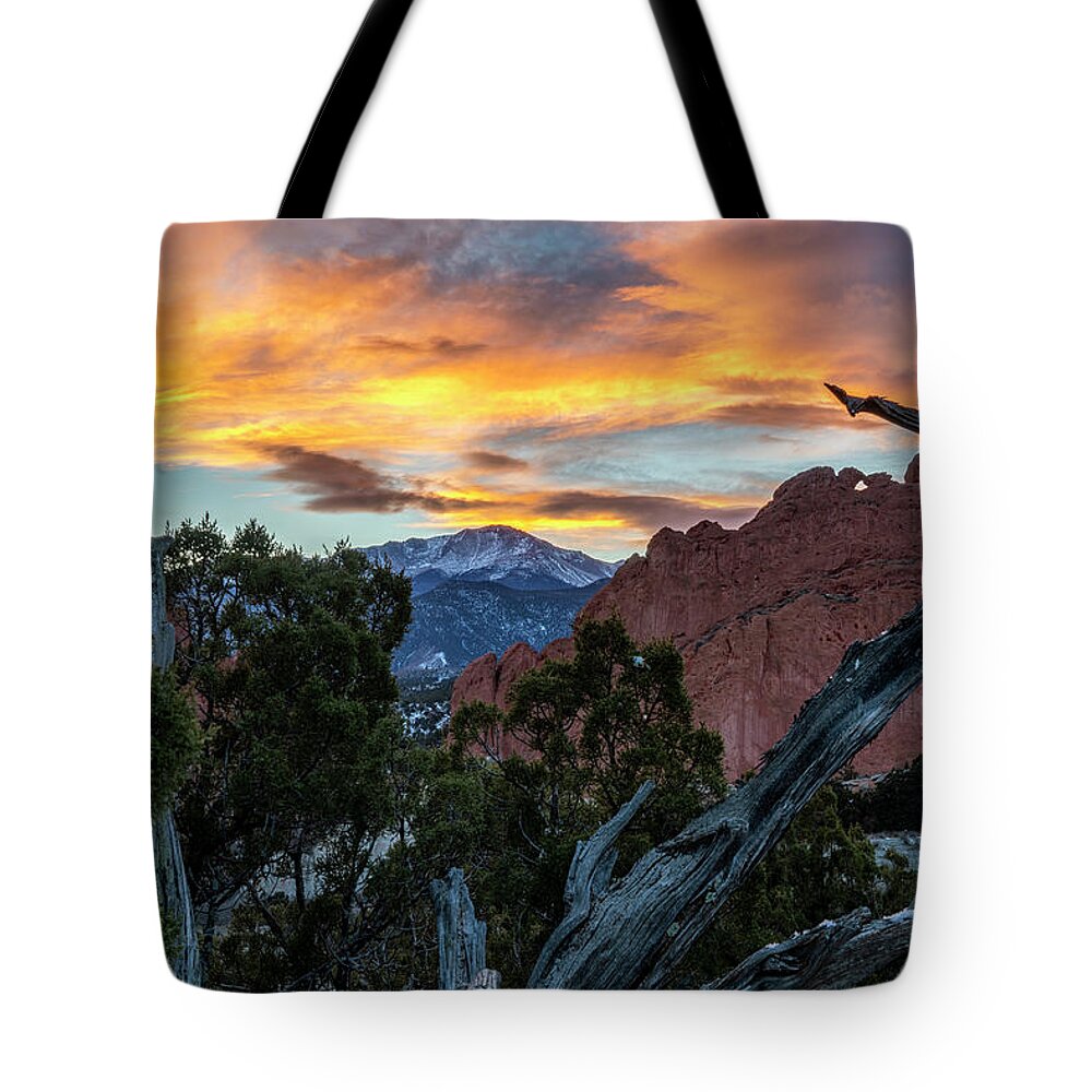 Garden Of The Gods Tote Bag featuring the photograph Garden of the Gods framed in the Twisted Tree by David Soldano